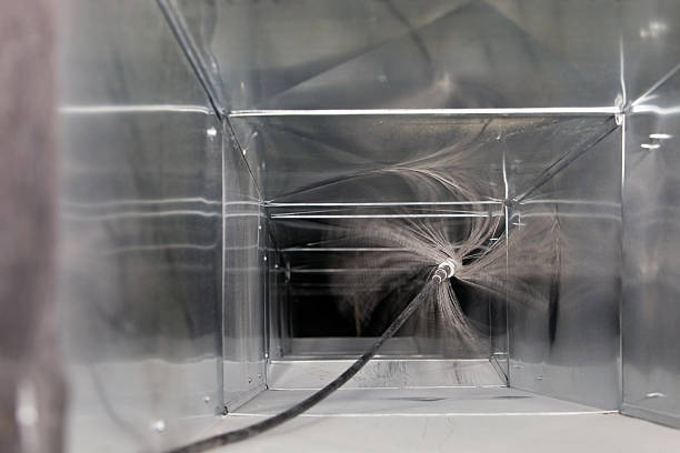 Best Air Duct Mold Removal  in Edwardsburg, MI