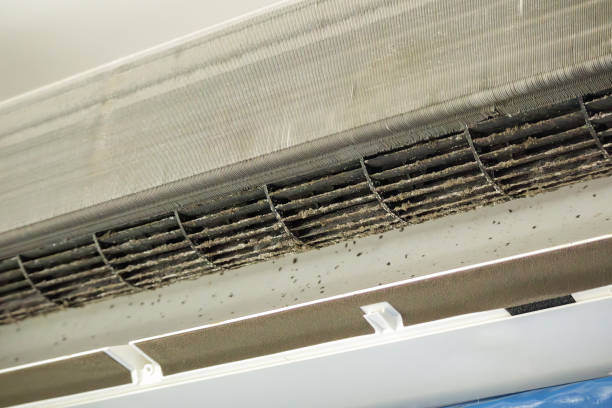 Best Air Duct Cleaning Near Me  in Edwardsburg, MI