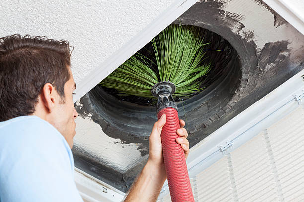 Best Affordable Duct Cleaning Services  in Edwardsburg, MI